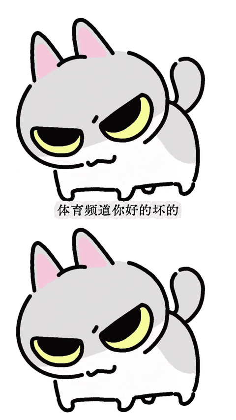 哈基米，一个自带bgm的男人，哈哈哈哈哈。哈基米参加了世界杯