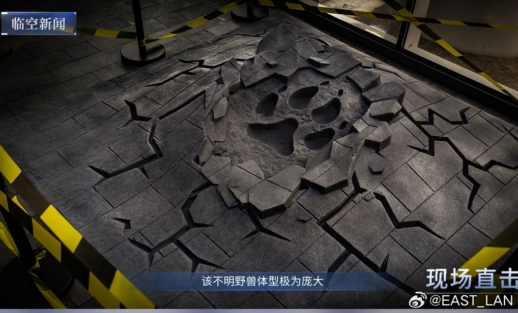 大喵，是你吗 （不是） 