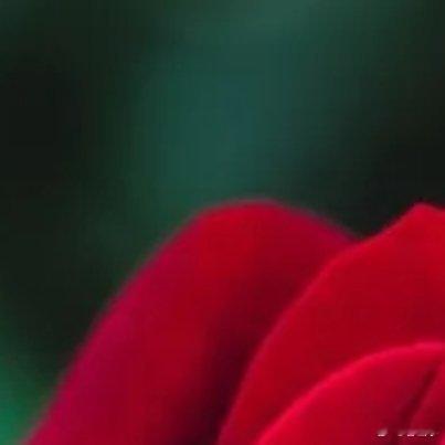 每日一善[超话]1500本浩❤️V➕☀️690， 🉑️卷🉑️蹭 🉑🧱！与