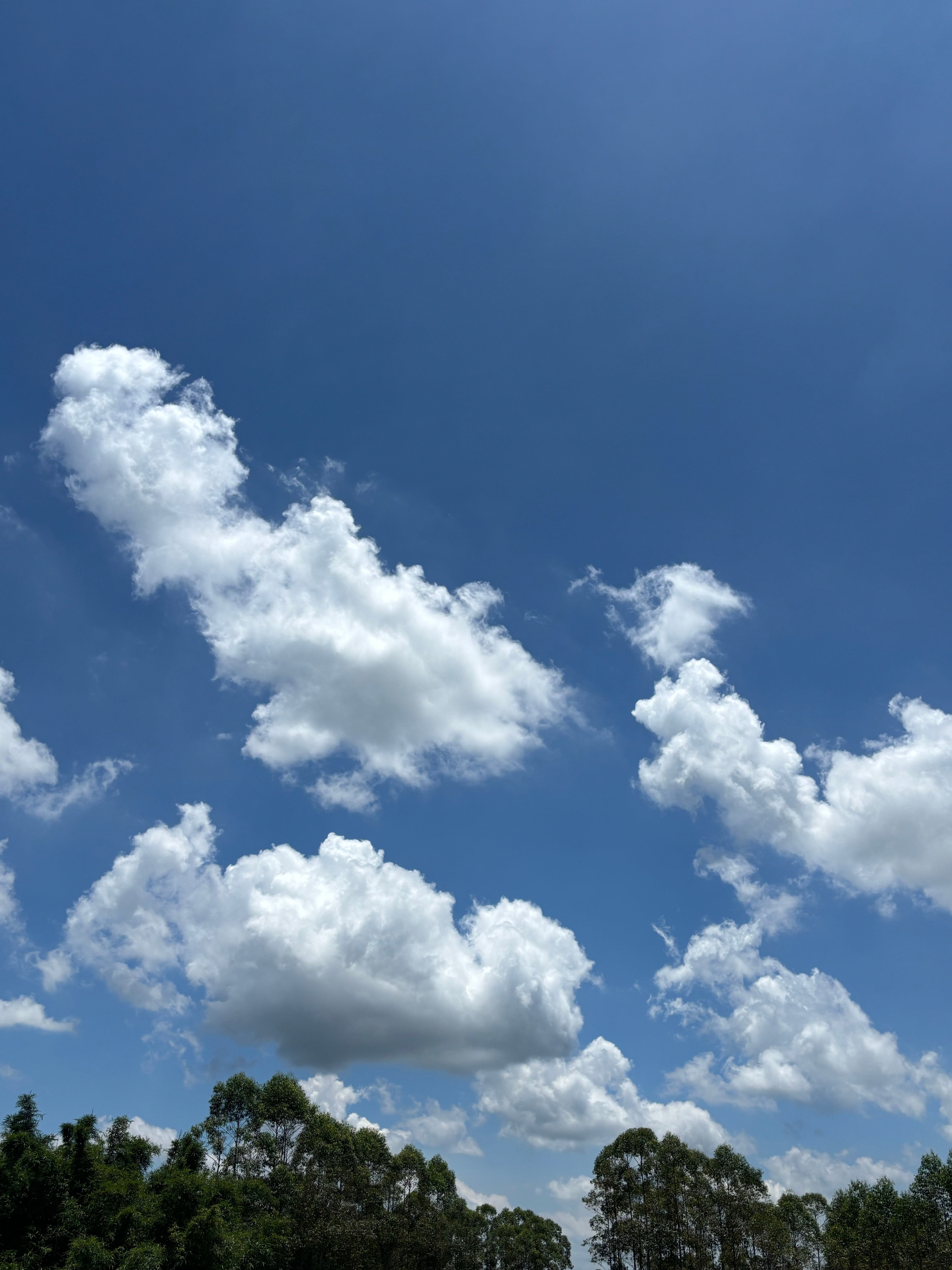 夏天的天空就是美 