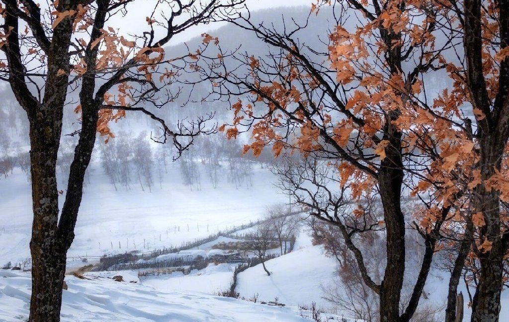 开始加持好运接下来，你成功的几率非常大 ​​​