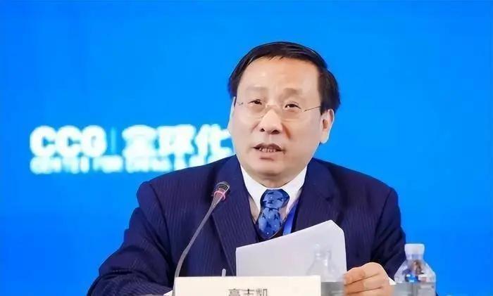 英国一著名主持人曾问高志凯：“都说中国在监视我们！”高志凯答道：“你们英国人可以