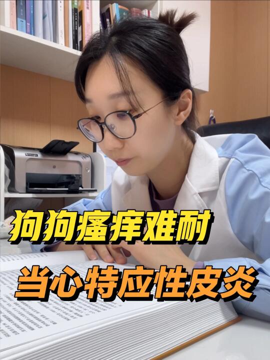 狗狗特应性皮炎如何诊断和治l疗？