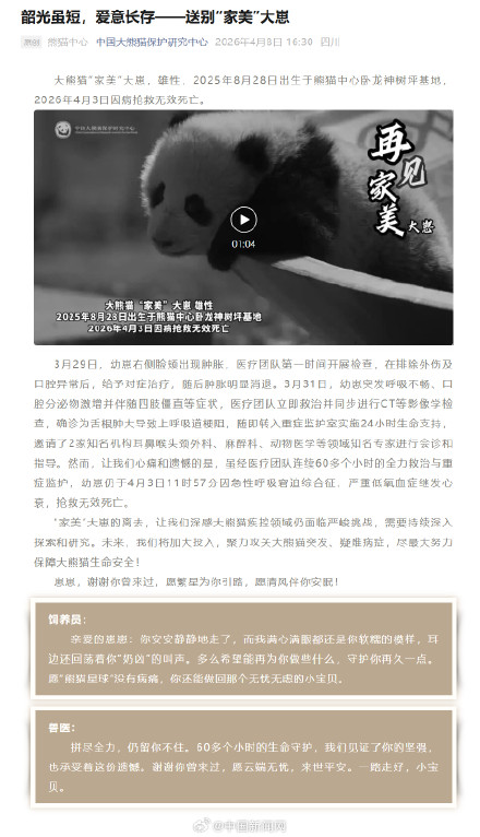 大熊猫“家美”大崽去世