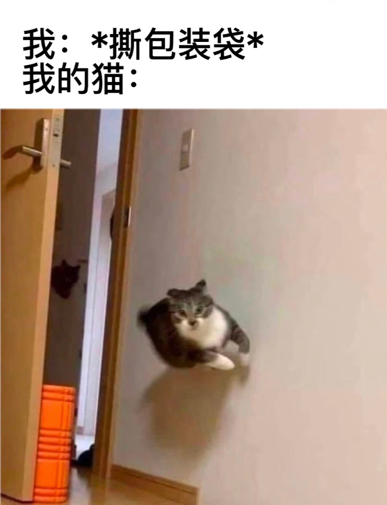 我来也#今日memes# //#春日cityhappy计划# ​​​