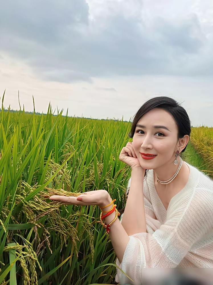 挺美的