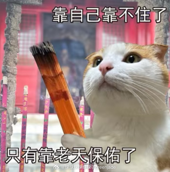 我爱上了这个表情包。🙏 