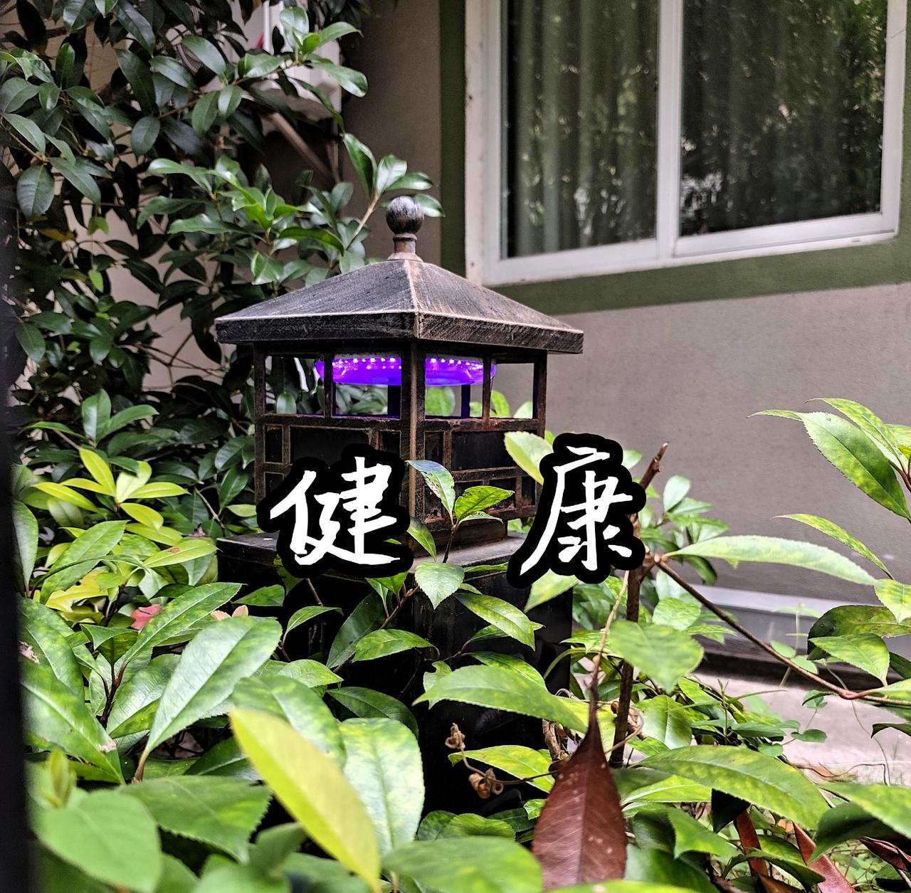 我发现最危险的不是癌症本身 而是精神恍惚 
我总在思虑总在忧
阅读中我看到一个个