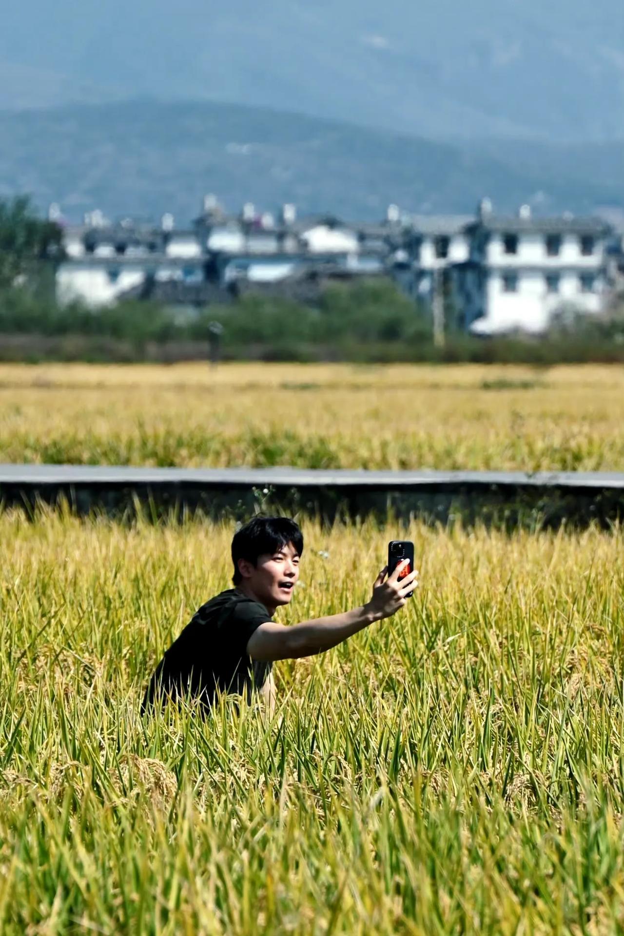 宁静的农村，金黄色的稻田中，游泳队的男神汪顺快乐的置身其中。拿起手机快乐的咔咔自