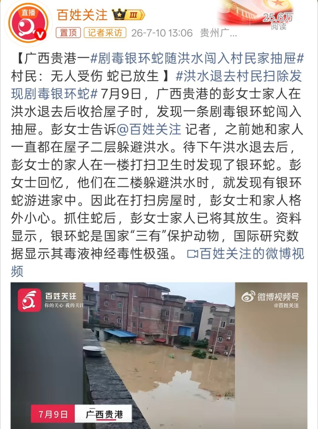 剧毒银环蛇随洪水闯入村民家抽屉广西得朋友这是太倒霉了，又是水灾，又是“蛇灾”，雪