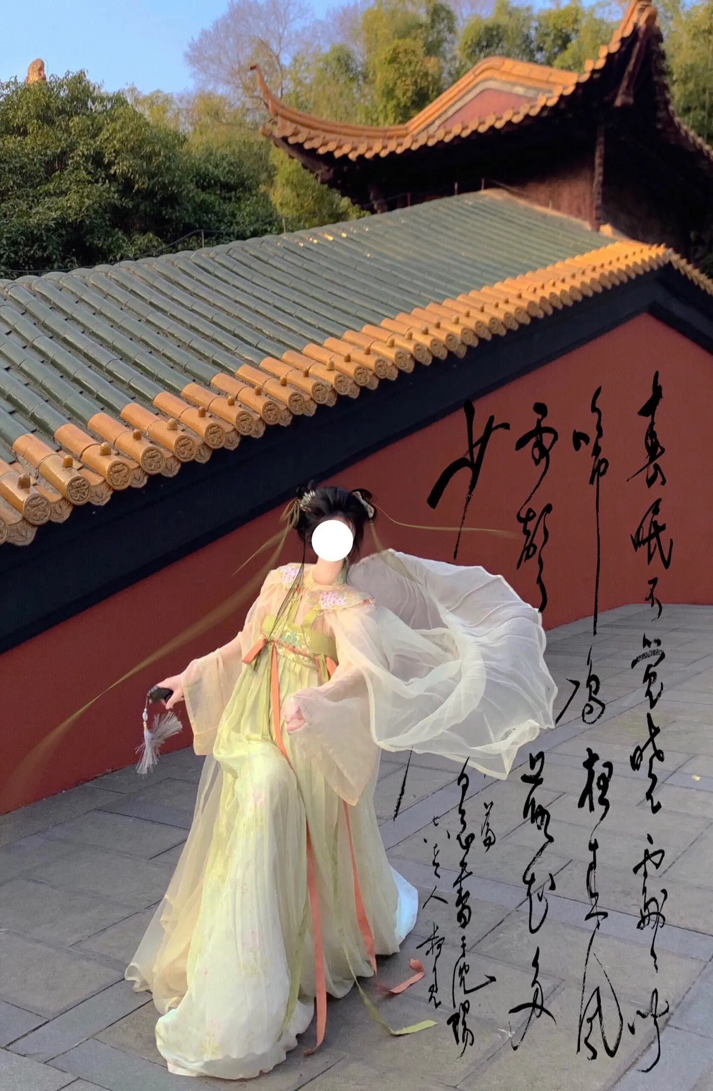 “神山禁行，师兄止步吧”