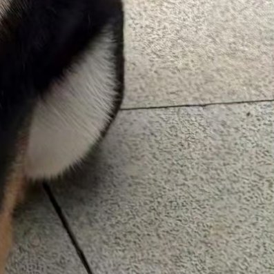 “不是每种情绪都能被接纳，不是每张纸都能遇到欣赏它的人，然而“不懂”也完全不影响