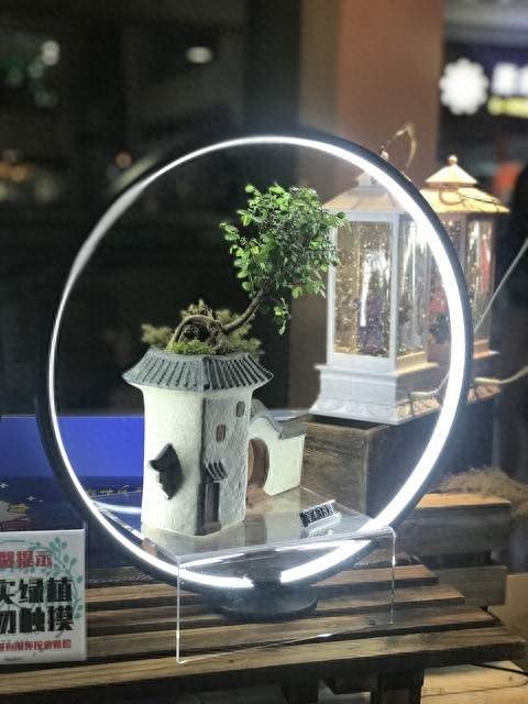 养娃多年才明白，基因不服不行，男孩自带本性，再怎么教难改变
