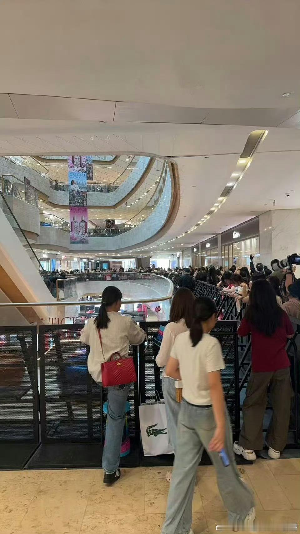 张凌赫 今天gucci活动！一大早就这么多人！！人气好高啊🔥🔥🔥！ ​​​