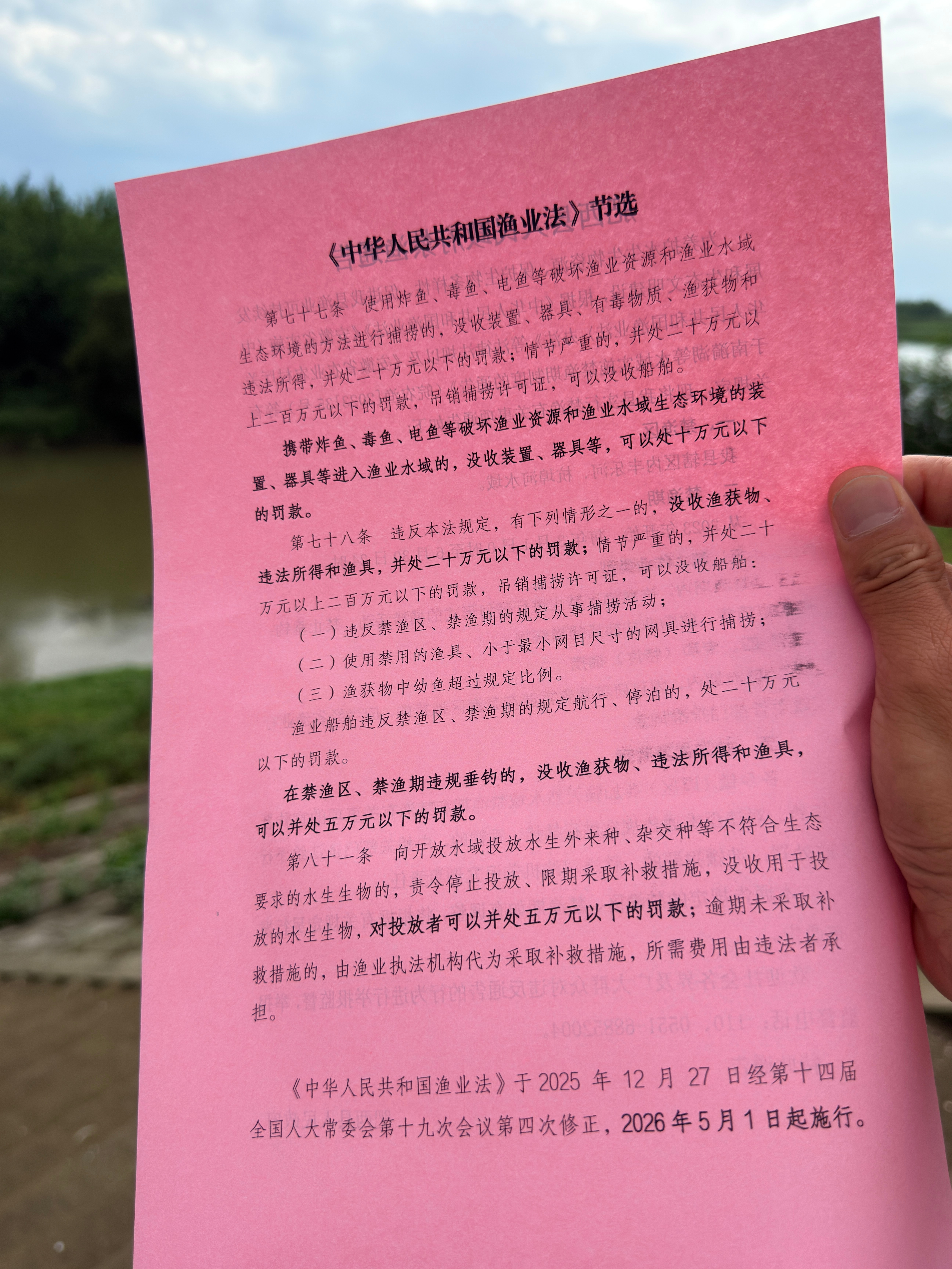 这把真的是疯乐大舞台了，严格遵守通告。回家