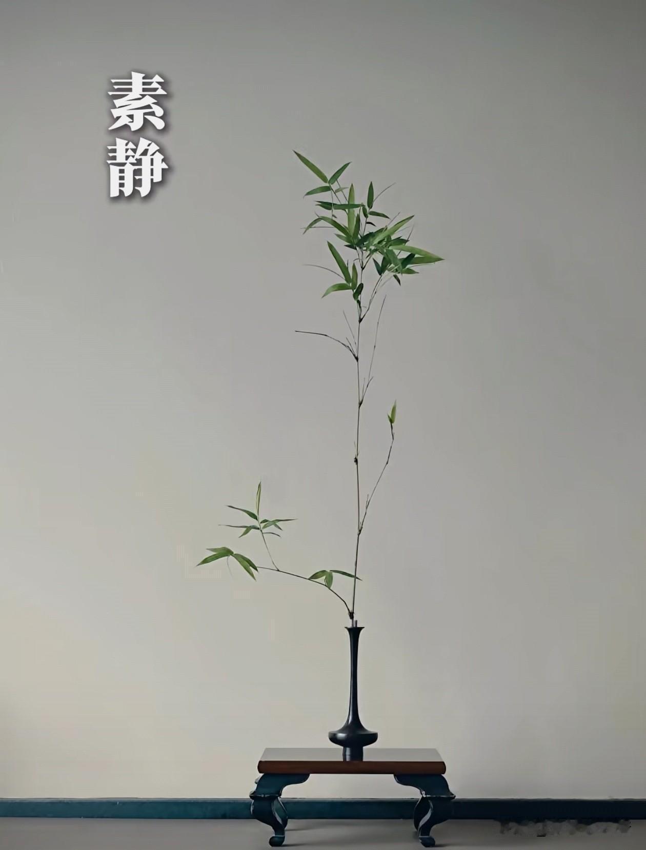 不管是退休的还是上学的人，除了学习看书以外，如果让你选一样能力提升自己，个人建议