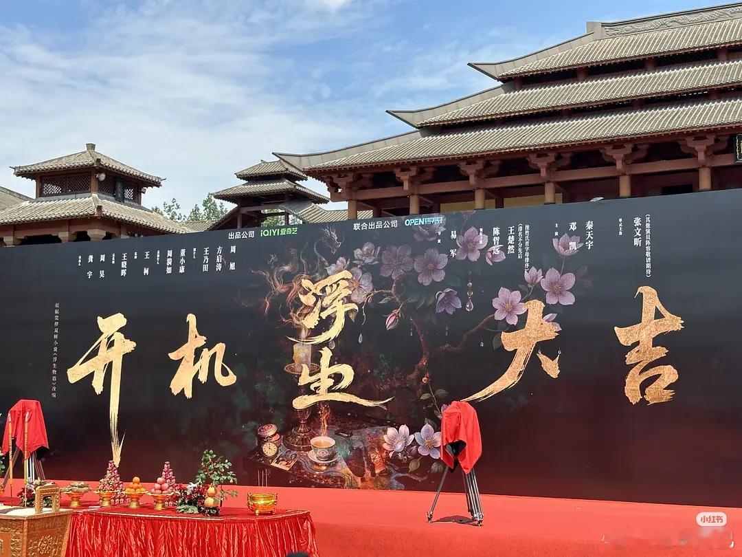 陈哲远、王楚然浮生物语竟然平番了🤔 