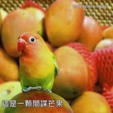 甜糯圆爱读军事