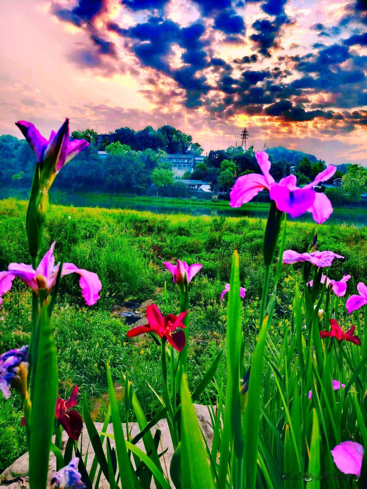 随手一拍美丽的花朵