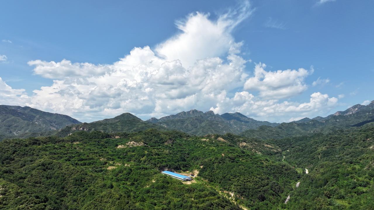 太行深山育珍禽 生态好味润餐桌——石家庄市平山县下庄村启航家庭农场太行山一品五黑