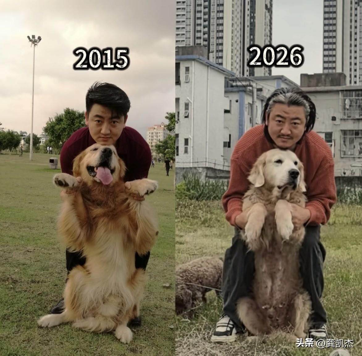 养狗太让人操心了，老得太快了吧！[恐惧]