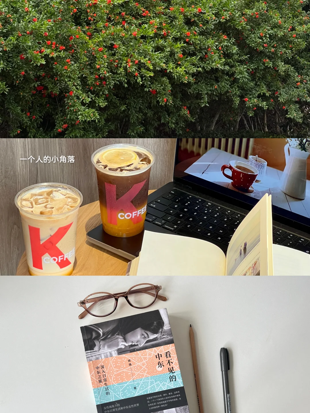 𝐏𝐥𝐨𝐠 夏日雨后，来口冰橙橙🍊