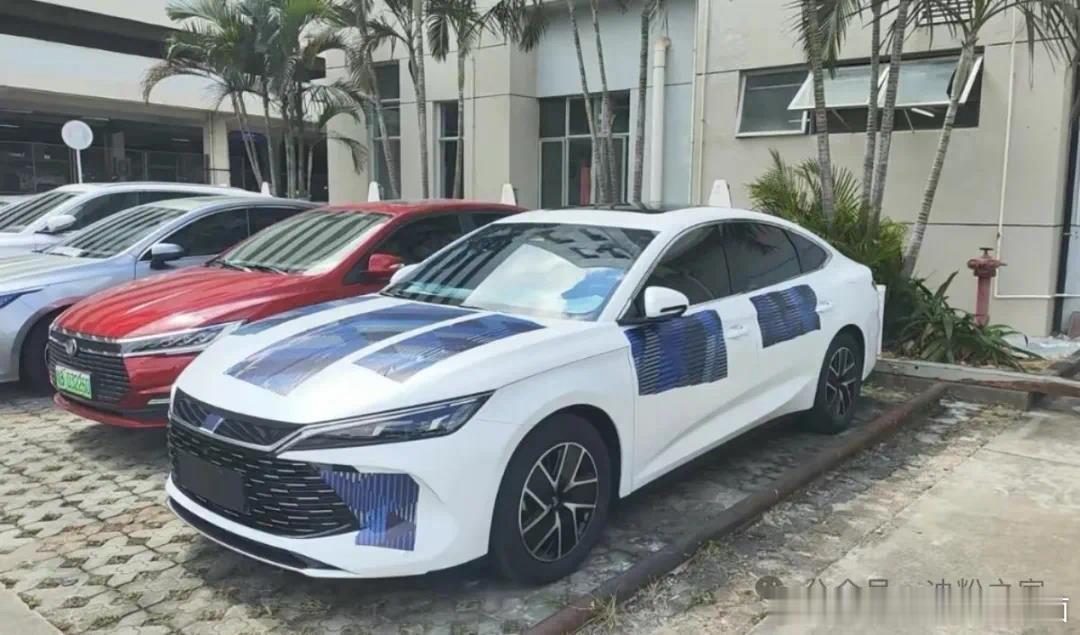 #这是你要的潮车吗# 比亚迪秦L实车图，有点小汉那意思#汽车# ​​​