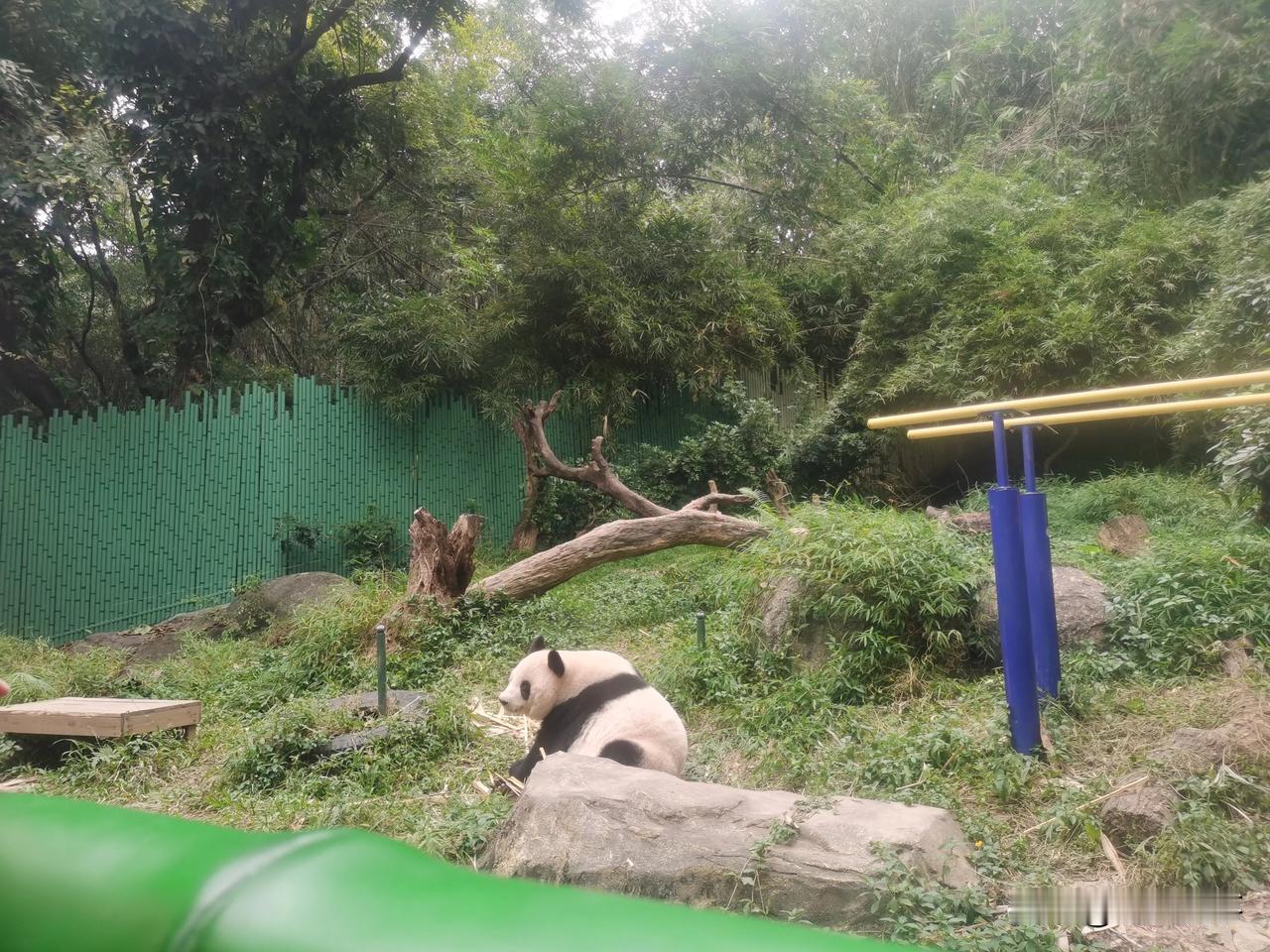 
猜猜我在哪？