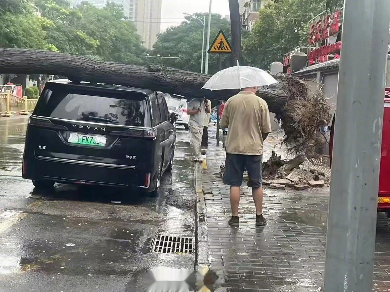 新时代新能源的新抗压测试[666]
堪称为移动的堡垒不过分吧[吐舌]