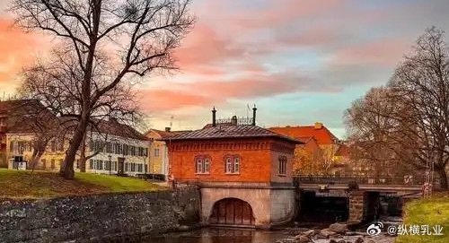 【22亿克朗，这家全球乳业巨头最大的单笔投资！】一杯牛奶倒进杯子，价值几毛钱；做