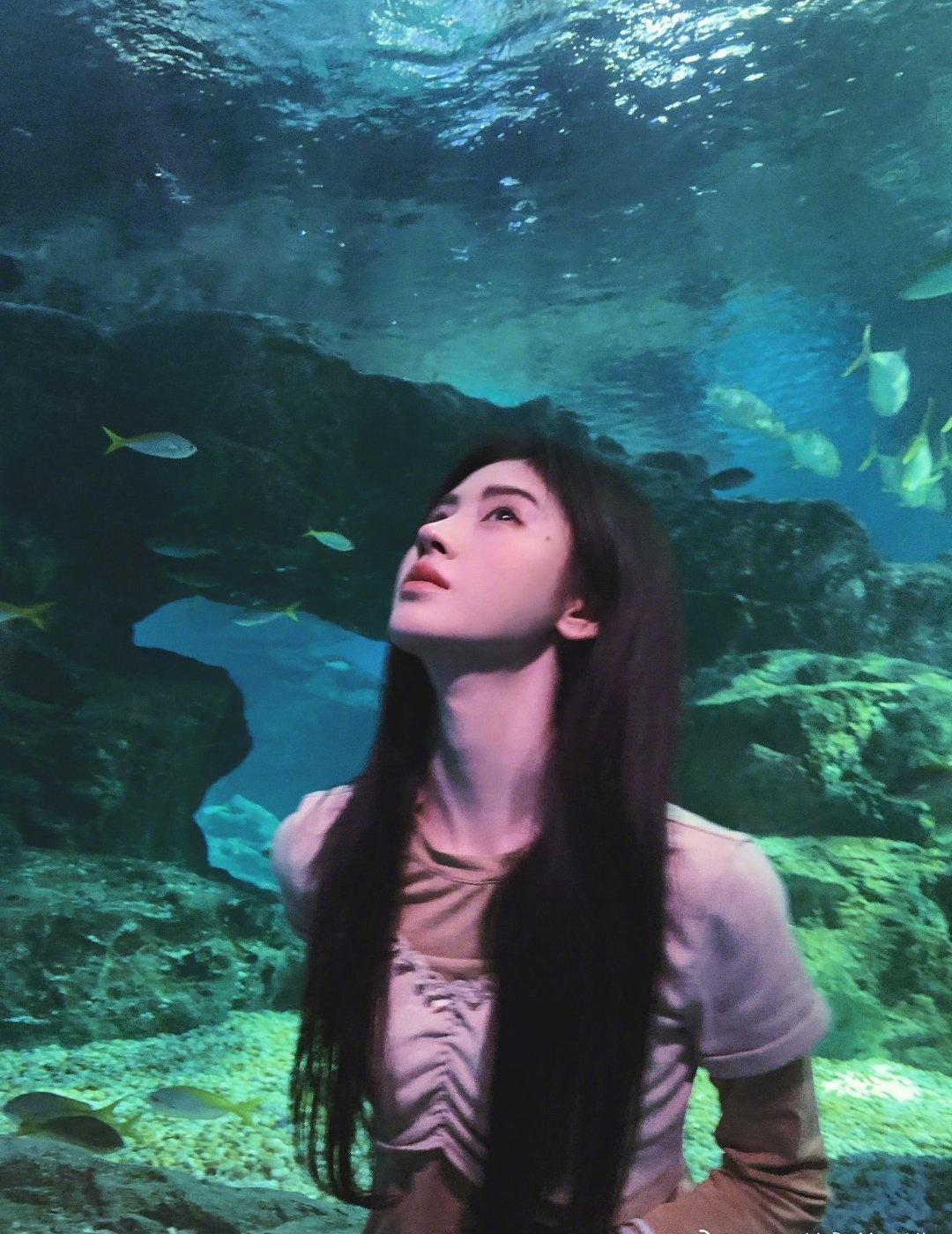 鞠婧祎 🍊💙淘宝天猫服饰品牌大使鞠婧祎  🍊💙鞠婧祎 

  ☆⁺ʚ相信