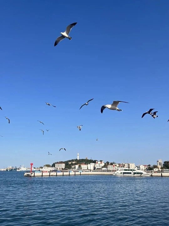 去一次烟台旅游就等于去了全世界不用远赴国外，在烟台就能集齐浪漫海景、欧式建筑、金