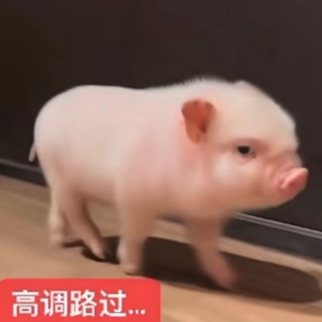 出2了怎么没人告诉我 奔赴 