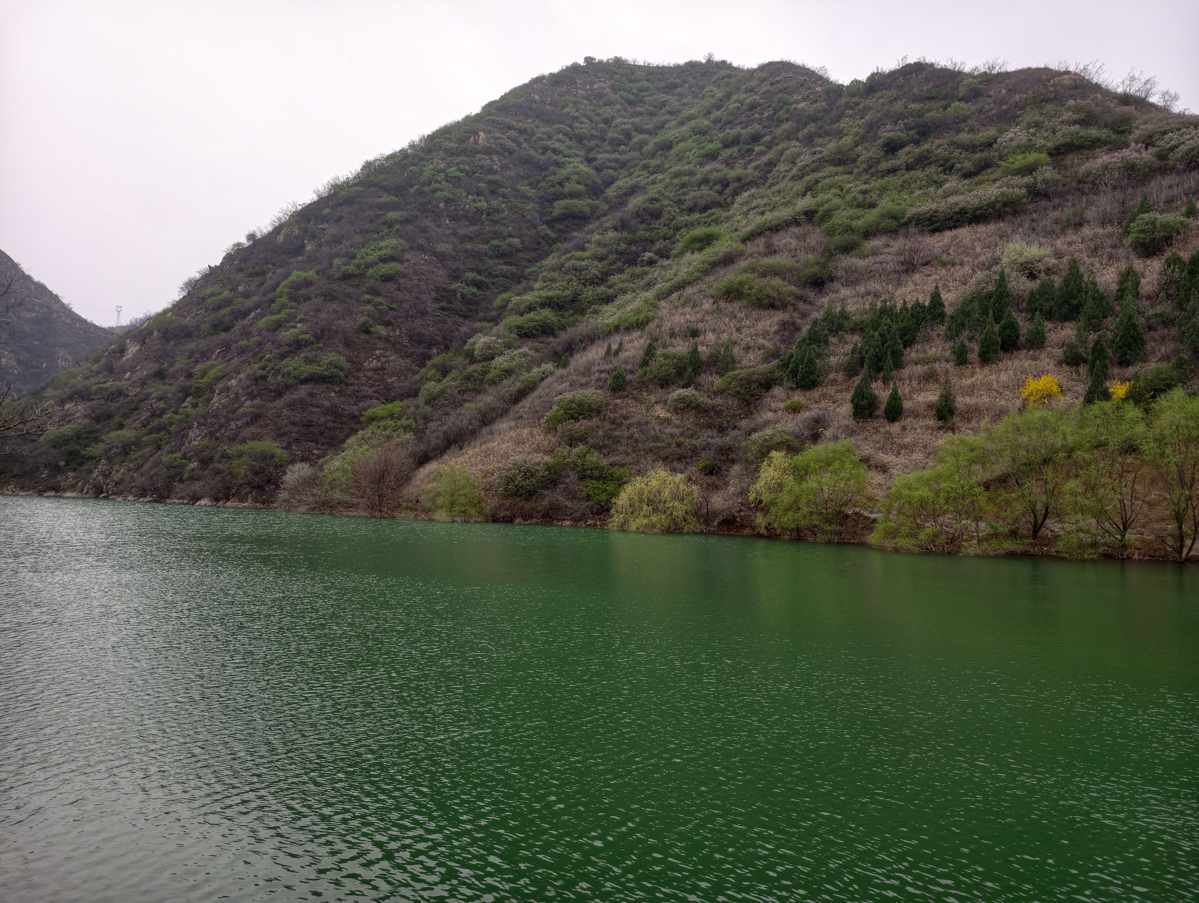 好不容易说去爬个山到山脚下下雨了