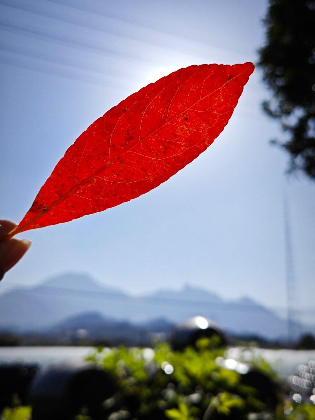 【遇见云和蓝】没有午休，溪边踏步，感受云和蓝！旅行不需远方，眼前就是诗和远方。 