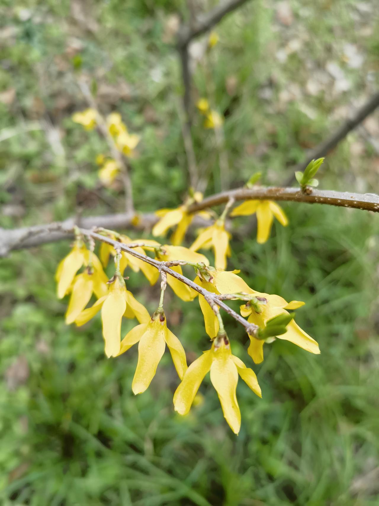 善战者无赫赫之功！