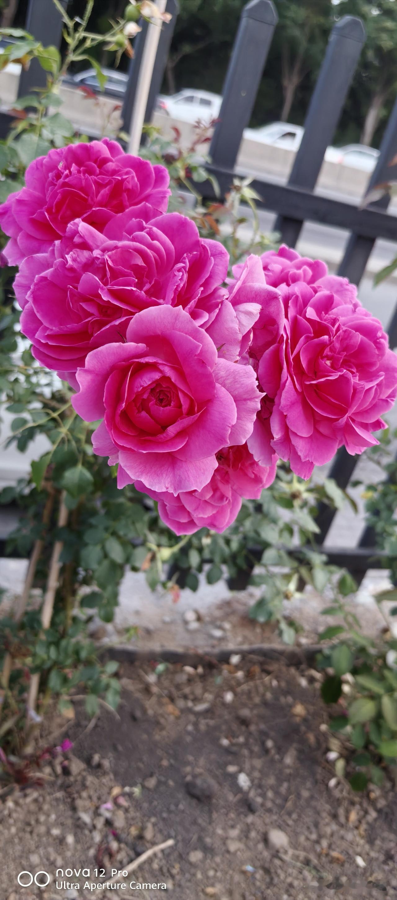 晒图笔记大赛