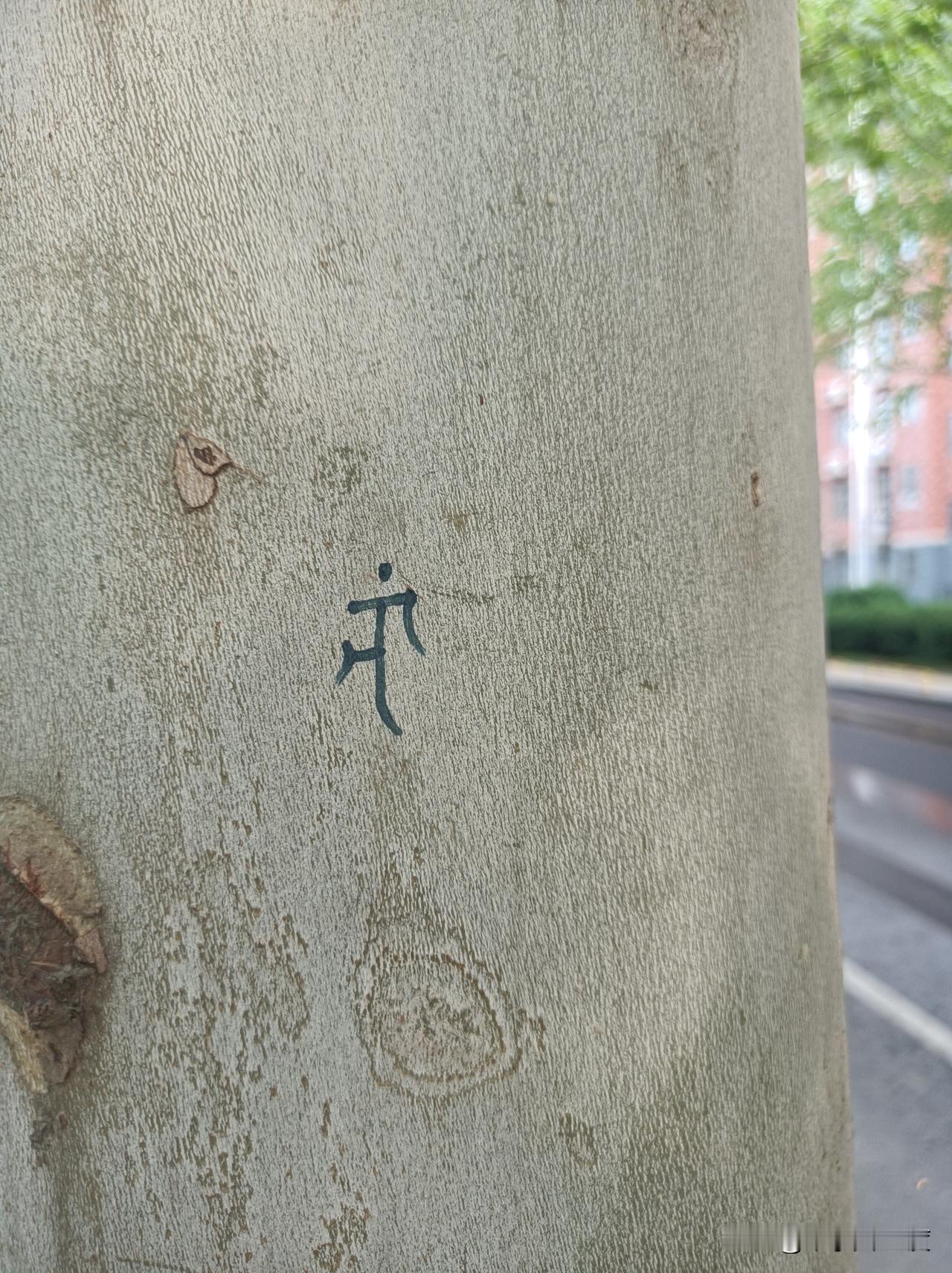 这样的标识不是什么间谍行为
路边法国梧桐树上好多这种手写的标识，在抖音上也看到过