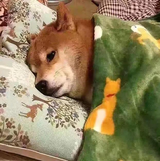 22岁，985研一，焦虑到爆炸！这简直就是我的真实写照！想当年老娘我，啊不，我的