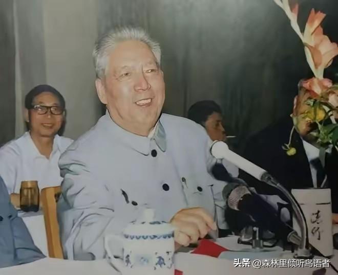 1996年，离休后的铁瑛将军，正坐在家中翻看报纸。女婿这时走进屋内，带着几分恳求