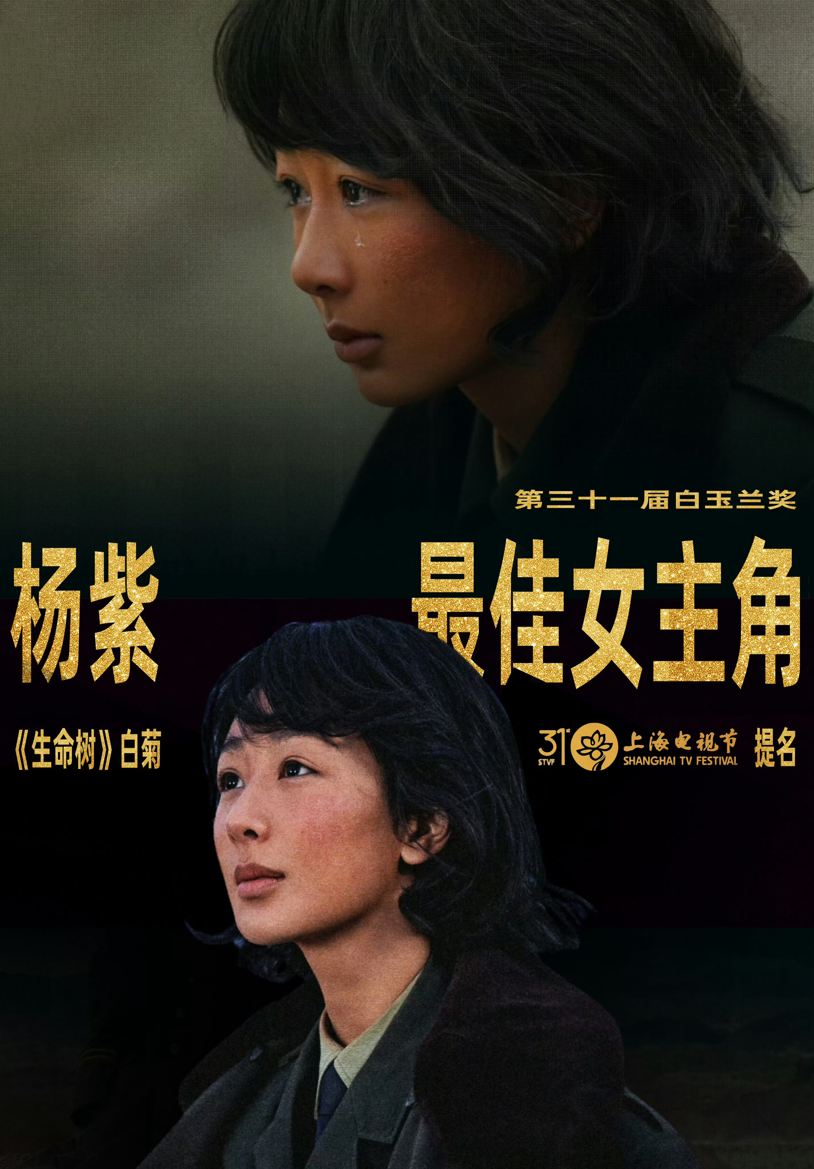 白玉兰最佳女主角：杨紫《生命树》 
