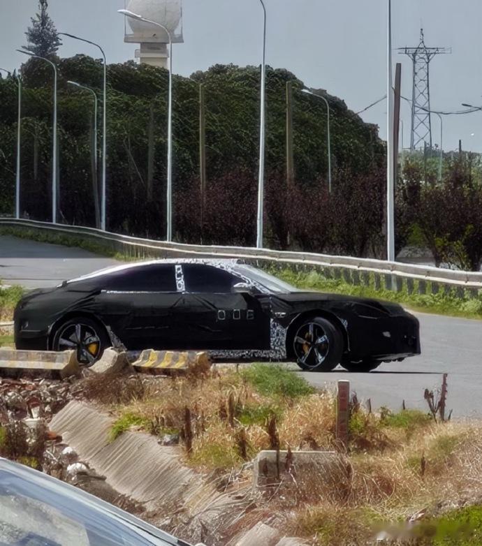 帕拉米拉？ ​​​