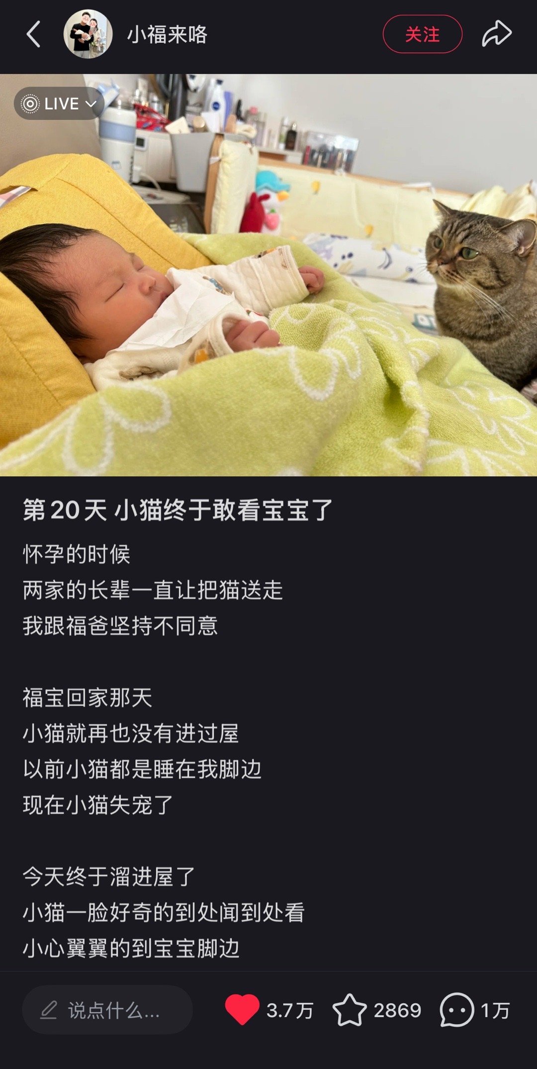 看完这个评论区我今天将会给所有人好脸色[赢牛奶] 