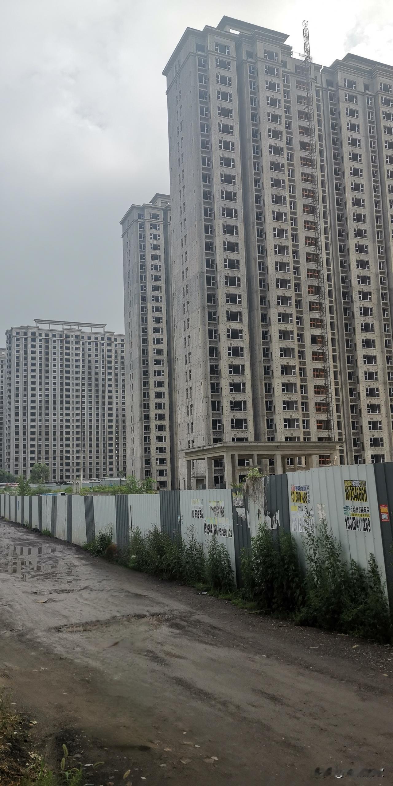 房价的2个先导信号：
1.一线租金明显回升：
2.二手房成交量开始上升。
最近楼