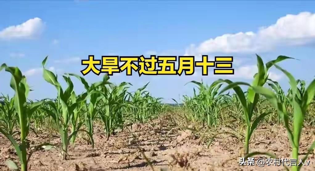 “大旱不过五月十三”，今日五月十三，今年会旱吗？提醒家人注意
 
今日是2026