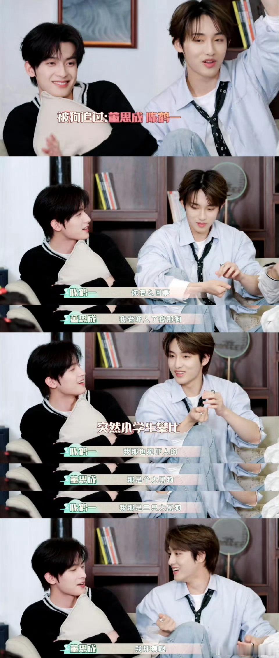 刘些宁被猪追、陈鹤一被狗追的爆料，简直是团综里的搞笑担当，笑到我满地找头，他俩这