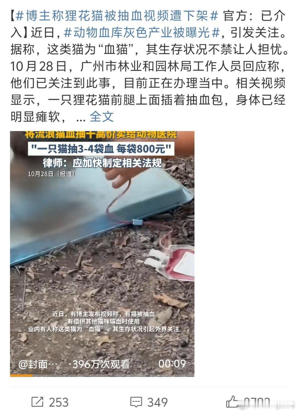 博主称狸花猫被抽血视频遭下架在我们看不见的地方不知道还有多少这种事[怒]一点良心