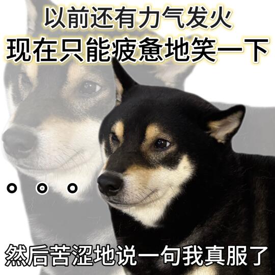 表情包|活人微死哈哈😀