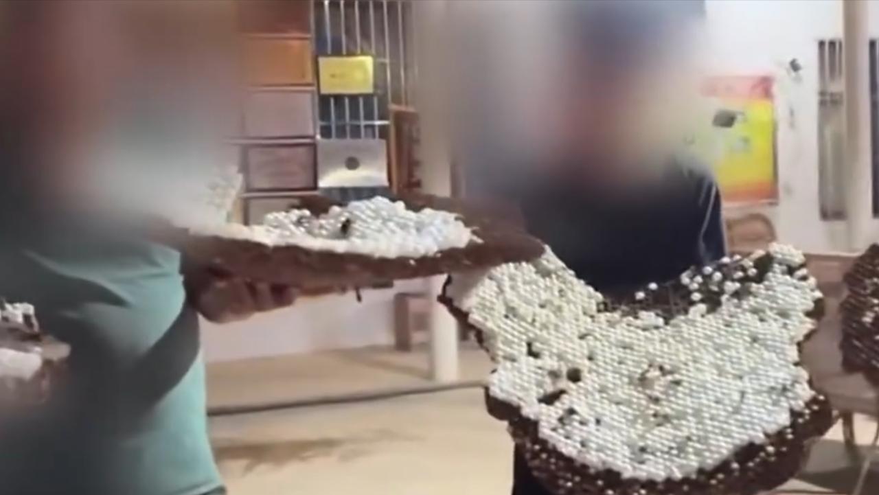 居然有人养“杀人蜂”？还是6666元包教包会？

最近央视曝光了一起很恶劣的事情