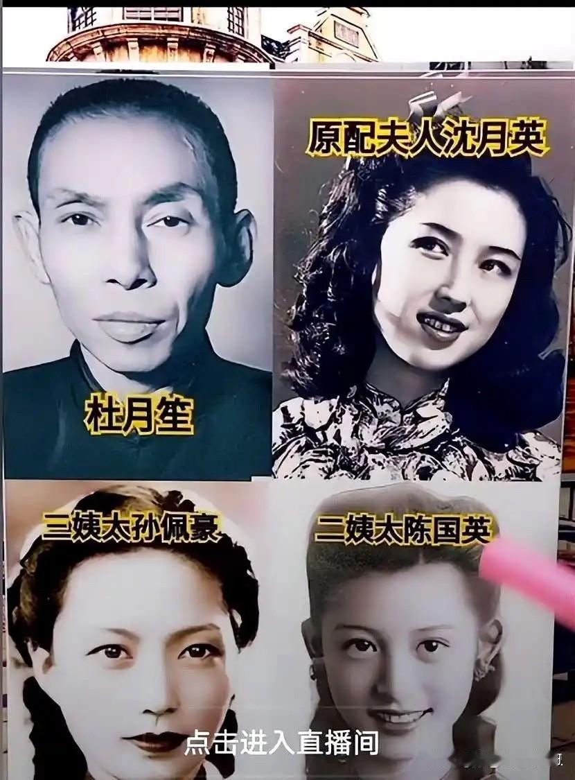 杜月笙二姨太陈帼英：舞女姨太的悲欢人生

杜月笙的二姨太陈帼英是旧上海滩丽都舞厅